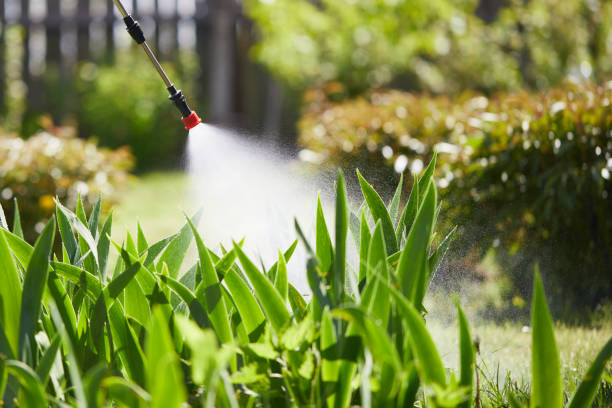 24/7 Emergency Cockroach Control experts in El Paso de Robles, CA