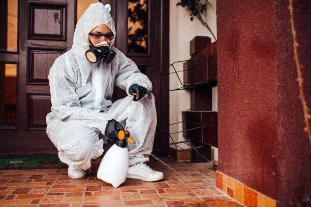 Reliable Cockroach Control contractor in El Paso de Robles, CA by Nex Pest Control